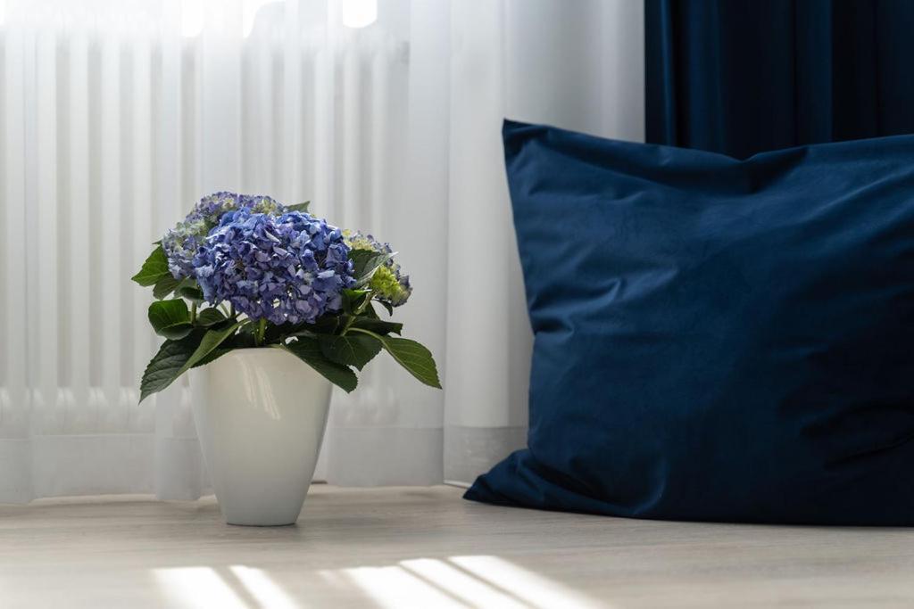 Vip Apart Center Baden-Baden Ngoại thất bức ảnh